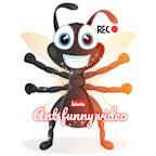 Ant funny_video