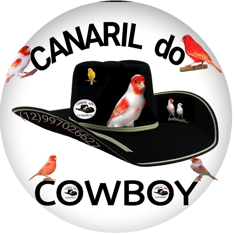 CANAL, CANARIL DO COWBOY 🐣🐦