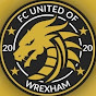 Welcome to the Other Wrexham: FC United of Wrexham