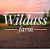 Wildass farm