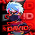 DAVIDGAMER800