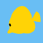 해수인tv yellow aquarium
