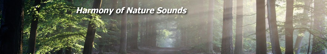 Harmony of Nature Sounds