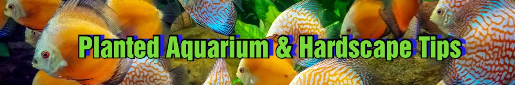 AJ Aquarium