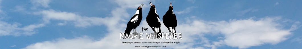 The Magpie Whisperer Banner