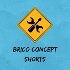 Brico Concept Shorts