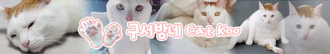 구서방네 Cat Koo