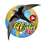 WALET TV