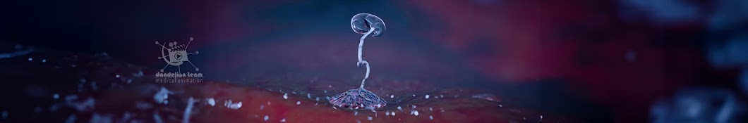 Dandelion Medical Animation Banner