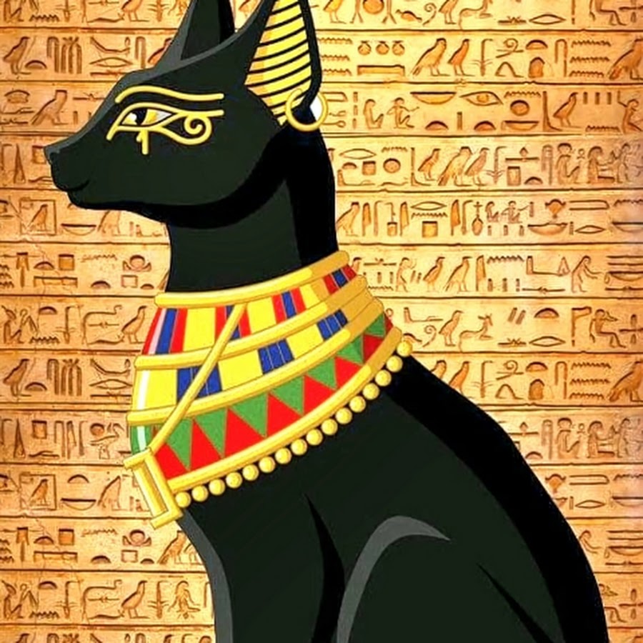 Фул египетские кошки