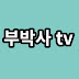 부박사TV