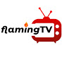 Flaming TV