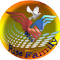 RISE FAMILY Organization