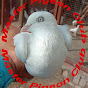 Master Pigeon Club