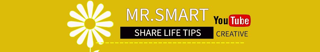 Mr Smart