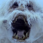 Alaskan Wampa