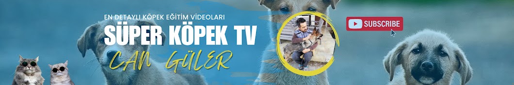 Süper Köpek TV