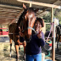 山Ⅾチャンネル　　　　　　　　　　　yamad horse show time