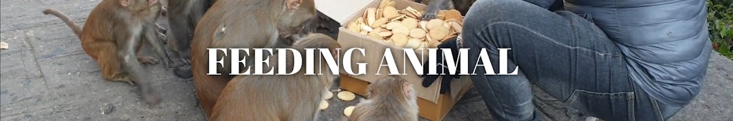 FEEDING ANIMAL Banner