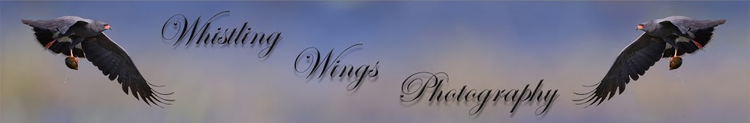 Whistling Wings Photography Banner