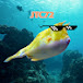 JeffTheCowfish72