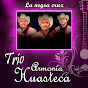 Trio Armonia - Topic