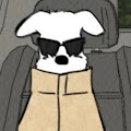 Artist Thumbnail