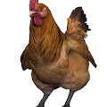 Artist Thumbnail