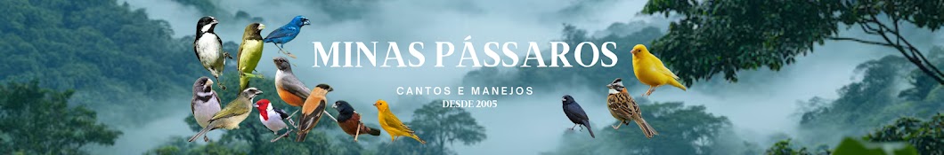 Minas Pássaros