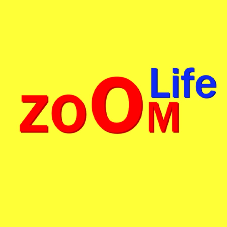 Zoom Life