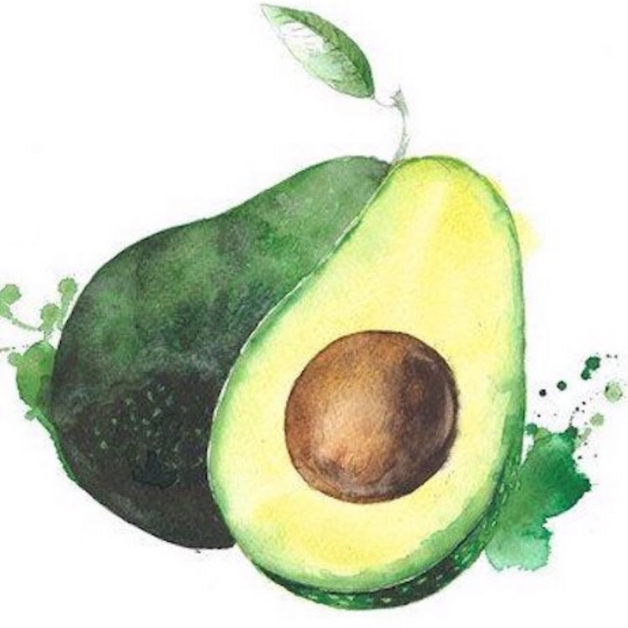Авокадо акварелью рисунок для скетчбука