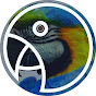 Parrot Podcast