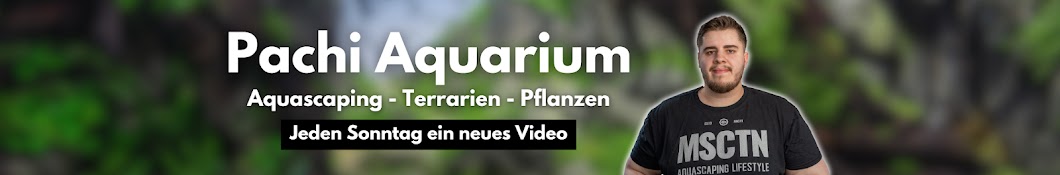 Pachi Aquarium Banner