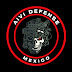 AIVI DEFENSE MÉXICO