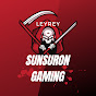 Sunsuron Gaming