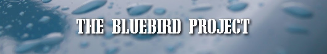 TheBluebirdProject