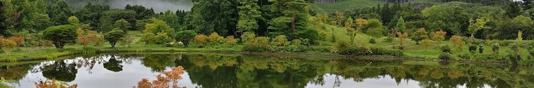 ハスの野遊び外遊び【着物お休み中】