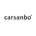 carsanbo tech(360carcamera)