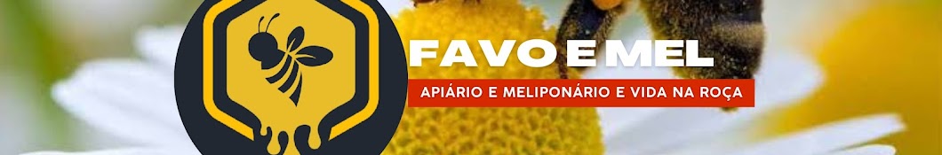 Apiário e Meliponário Favo e Mel