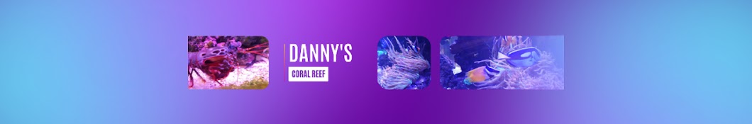 Danny's Coral Reef