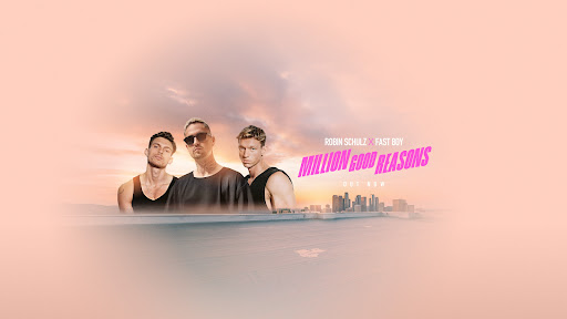 Robin Schulz banner