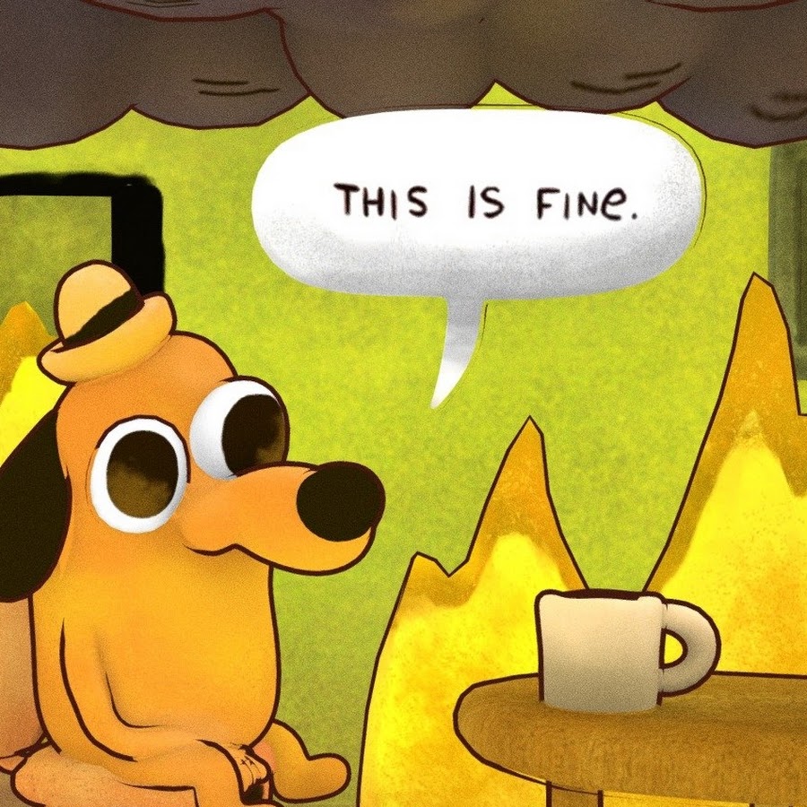 This is fine steam фото 1