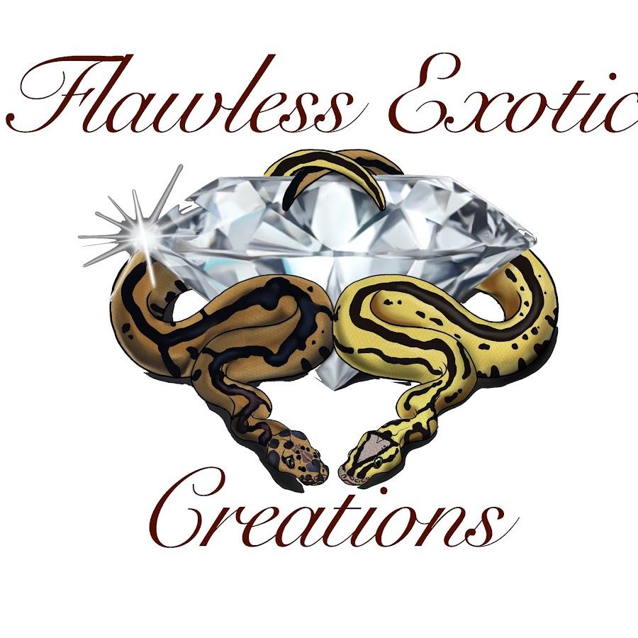 Flawless Exotic Creations - YouTube