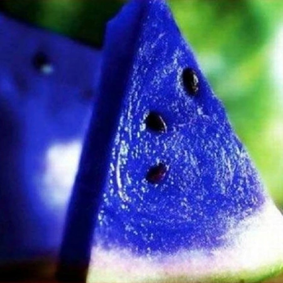 Blue Watermelon @bluewatermelon5920