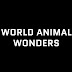 World Animal Wonders