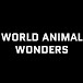 World Animal Wonders