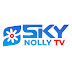 logo SkyNollyTV