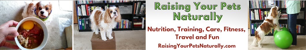 Raising Your Pets Naturally with Tonya Wilhelm