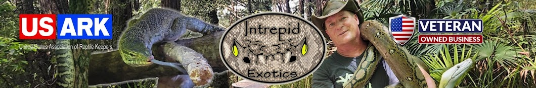 Intrepid Exotics Banner