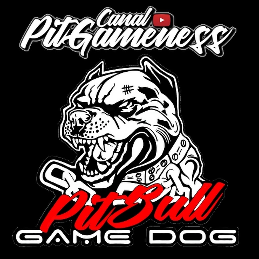Canal Pitgameness Game Dog